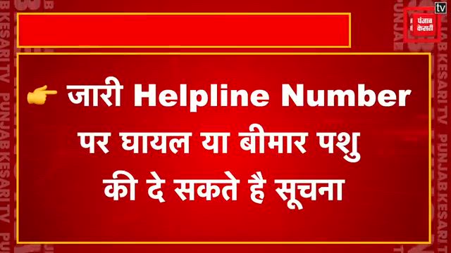 Jalandhar वासी ध्यान दें ! प्रशासन ने जारी कर दिया Helpline No ...